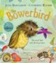 The Bowerbird - 