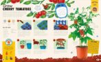 PLANT TO PLATE Interior 3 - 